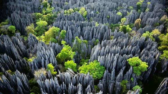 Tsingy de Bemaraha National Park Madagascar