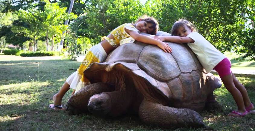 parco-zoologico-bravo-andilana-beach-madagascar.jpg